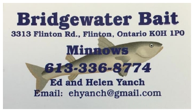BRIDGEWATER BAIT 2019 AD ARTWORK.jpg