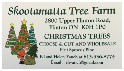 SKOOTAMATTA TREE FARM 2019 AD ARTWORK.jpg