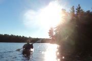 September morning on the Skoot (Joanne Volpe) September morning on the Skoot (Joanne Volpe)