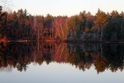 140. Late Fall Reflection (Adam Schiefer) 140. Late Fall Reflection (Adam Schiefer)