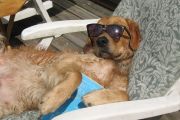 summer_2011_067.jpg