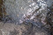 100_2532_n.jpg