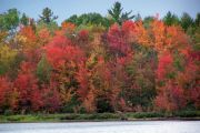 Fall Brilliance