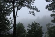 71.  'Early Morning Fog'