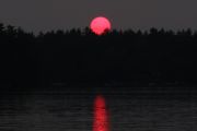 135. Sunset (Tricia) 135. Sunset (Tricia)