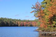 Fall Colours (Sue Miller) Fall Colours (Sue Miller)