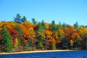 75. Beauty of Fall (Jason Field) 75. Beauty of Fall (Jason Field)