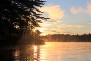 Mist on the Lake (Sue Miller) Mist on the Lake (Sue Miller)
