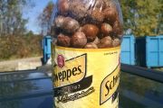 36. How many acorns can a chipmunk store if a chipmunk could store acorns... in a Schweppes bottle? (Christy Goodale) 36. How many acorns can a chipmunk store if a chipmunk could store acorns... in a Schweppes bottle? (Christy Goodale)