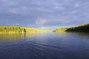 5. Evening fish (Wim) 5. Evening fish (Wim)