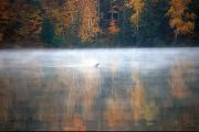 Solitude
