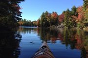Peaceful Beauty (Linda Dzelme) Peaceful Beauty (Linda Dzelme)