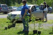 donated native species