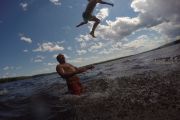 116. Flying high! (Alexis Koehler) 116. Flying high! (Alexis Koehler)