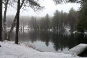 91. Winter frost (Penny Wall) 91. Winter frost (Penny Wall)