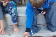 92. Feeding Alvin (John Redden) 92. Feeding Alvin (John Redden)