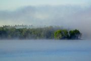 150. Foggy Morning (Jason Field) 150. Foggy Morning (Jason Field)