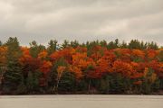89. Fall has arrived (Jason Field) 89. Fall has arrived (Jason Field)