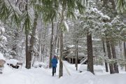 53. Winter Wonderland (Sonja Unger) 53. Winter Wonderland (Sonja Unger)