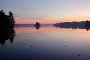 pink_reflectionsN.jpg