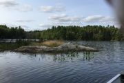 41. Nature on the river (Doreen Crone) 41. Nature on the river (Doreen Crone)