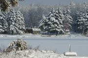 Ice_Storm_n.jpg