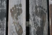 53. Summer's Footprints (Rachel Cumming) 53. Summer's Footprints (Rachel Cumming)