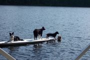 100_0509N.jpg