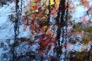 16. Swamp Reflections 2 (Judith Coulter) 16. Swamp Reflections 2 (Judith Coulter)
