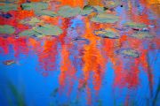 58. Lilypad Pond Revisited (Judith Coulter) 58. Lilypad Pond Revisited (Judith Coulter)