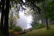 71. Morning mist (Penny Wall) 71. Morning mist (Penny Wall)