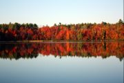 13. Fall Colours (Theresa) 13. Fall Colours (Theresa)