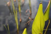 IMG_1069_n.jpg