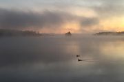 98. Greeting a new day (Linda Dzelme) 98. Greeting a new day (Linda Dzelme)