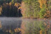 38. Fall colours (Nienke Smith) 38. Fall colours (Nienke Smith)