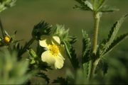 DSC03364N.jpg