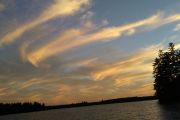25. 'Evening Glory'