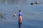 1. Water Buddies (Jennifer Robertson) 1. Water Buddies (Jennifer Robertson)