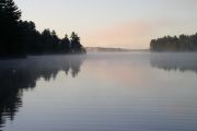 46. Good Morning 2 (Kathy Evelyn) 46. Good Morning 2 (Kathy Evelyn)