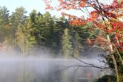 61. misty fall (Kathy Evelyn) 61. misty fall (Kathy Evelyn)