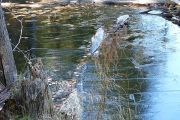 Hard water