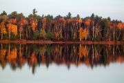 116. November Reflections (Adam Schiefer) 116. November Reflections (Adam Schiefer)
