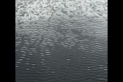 51. Ripples (Nelly Loreti) 51. Ripples (Nelly Loreti)