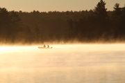 11. Morning Mist (Laurie Piskun) 11. Morning Mist (Laurie Piskun)