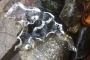 41. Winter Thaw (Diane Hering) 41. Winter Thaw (Diane Hering)