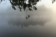 43. Mist on a mirror lake (Andy Tamas) 43. Mist on a mirror lake (Andy Tamas)